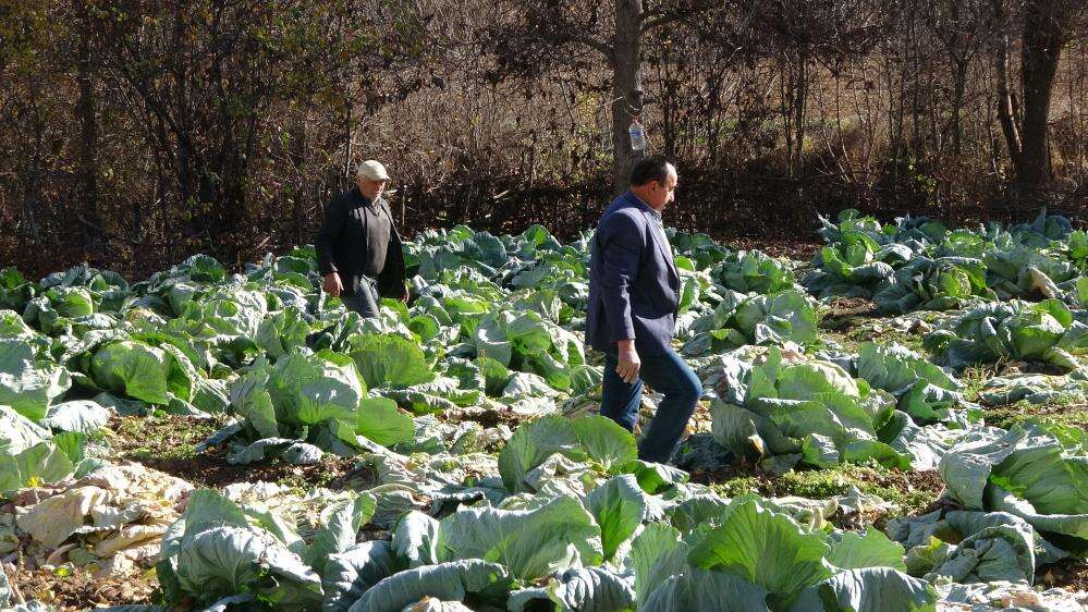 63 yıldır birlikteki kardeşleri eşleri de ayıramadı! Tarla, ev hepsi ortak 1
